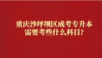 重慶沙坪壩區(qū)成考專升本需要考些什么科目?