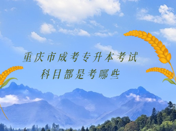 重慶市成考專升本考試科目