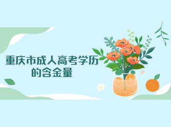 重慶市成人高考學(xué)歷