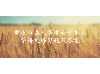 重慶市成人高考專升本大學(xué)語文