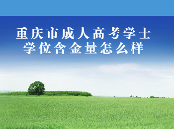 重慶市成人高考學(xué)士學(xué)位