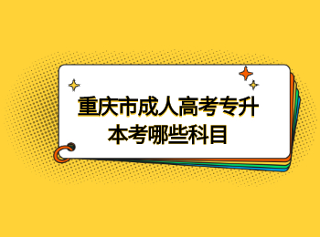 重慶市成人高考專升本