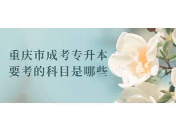 重慶市成考專升本 重慶成考專升本
