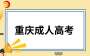 重慶市2024年成人高校招生錄取高起專(zhuān)批次征集志愿填報(bào)公告